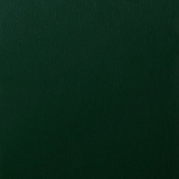 SUMUM Madera Color 18 006 Verde Pino SUMUM Madera Color 18 006 Verde Pino